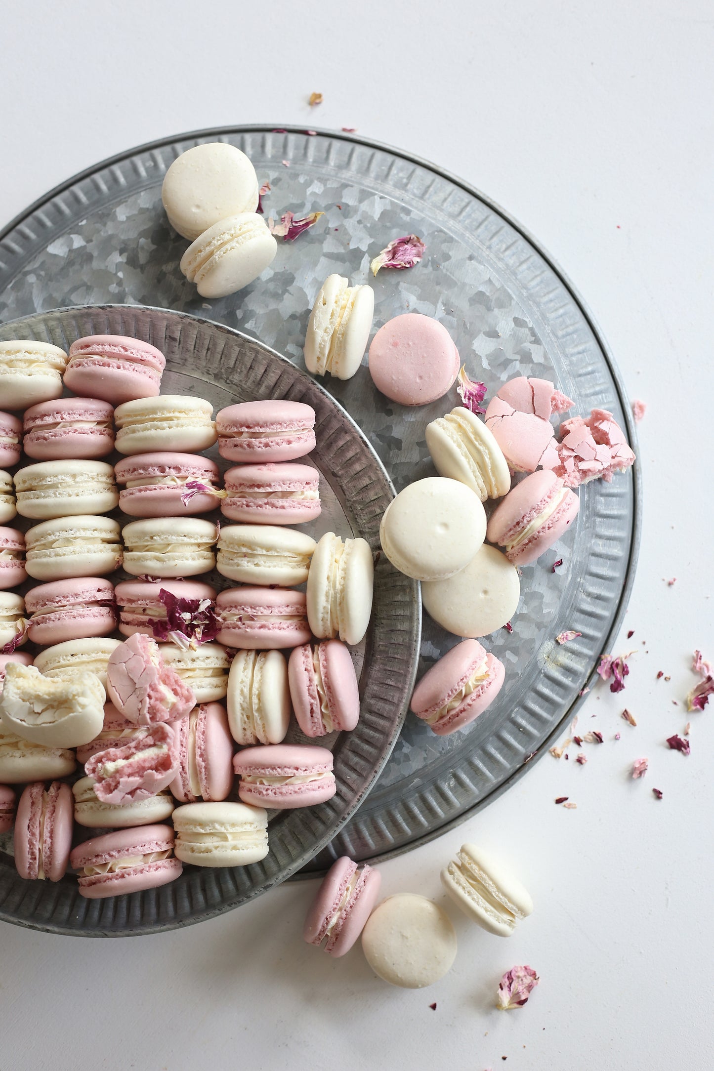 Macarons (box of 5)